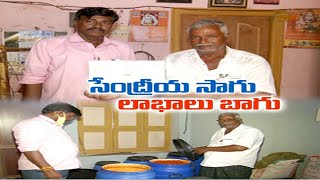 సేంద్రీయ సాగులో రాణిస్తోన్న రైతు | Farmer Get Profit from Organic Farming @ Penuganchiprolu