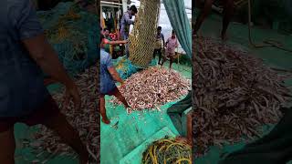 எனக்கு ரொம்ப வருத்தம்பா... முதல் நாளின் ரெண்டாவது வலையில் .... #meenavan #fish #fishcatching