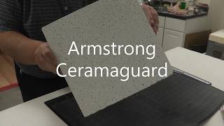 Ceramaguard for glass fusing, slumping, and damming