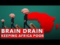 From Slave Trade to Brain Drain - The Damaging Effects of Brain Drain in Africa