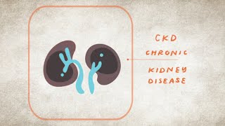 What is Kidney Disease? | The Kidney Disease, Heart Disease, and Diabetes Connection | NKF