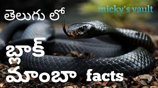 Black mamba facts in telugu | dangerous snake | most poisonous snakes in the world | telugu