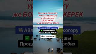 Тез арада Талас обл. Айтматов районуна кой жайганга ҮЙ-БҮЛӨЛҮҮ же БОЙ МАЛЧЫ КЕРЕК