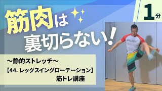 44 レッグスイング ローテーション／谷本道哉さんの筋トレシリーズ／ホームフィットネス24