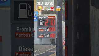The World Reacts to Rising Gas Prices