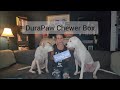 DuraPaw Chewer Box - Our Dog Box Series