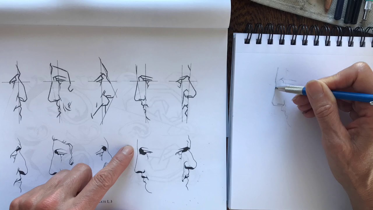 Cours De Dessin Day 6-7 - YouTube