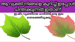 നിങ്ങളുടെ വ്യക്തി നിങ്ങളെ കുറിച്ച് എന്ത് ചിന്തിക്കുന്നു