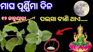 🙏 ମାଘ ପୂର୍ଣ୍ଣିମାର ଏହି ଉପାୟ କୋଟିପତି ବାନେଇଦେବ| #maghapuranima