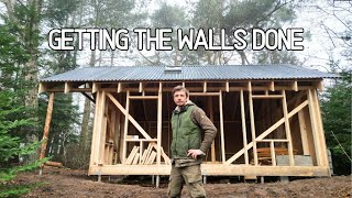 Building An Eco-Friendly Cabin Alone In The Forest [Ep. 6] Getting The Walls Done