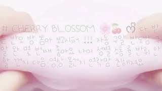 # CHERRY BLOSSOM 🌸🍒 ᰔᩚ 다 받는 반모방 차별 없이 다 받는 반모방 소통 잘 해 주는 반모방 액괴 반모방