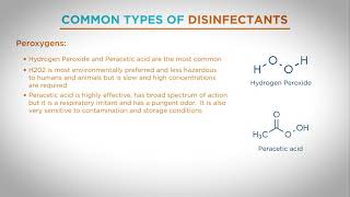 Common Types of Disinfectant - Part 2