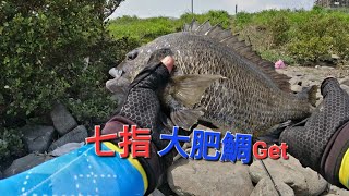 EP34/中部／鹿港彰濱／磯釣／黑鯛／石鱸／午仔魚／4／29、4／30釣魚記錄