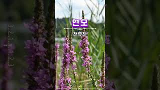 전유진 #연모 #트롯트인기가요 #현역가왕  진