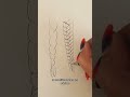 Tuto : Dessine des tresses comme un pro