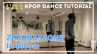 ZEROBASEONE - In Bloom ダンスレクチャー｜KPOP Dance Tutorial｜Dance Studio MARU (Macken)