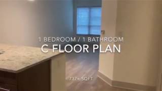 C Floor Plan, 1 bd / 1 ba