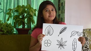 Draw Leaves Easy Drawing for Kids