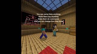 How to summon a custome NPC! #Shorts (Minecraft)