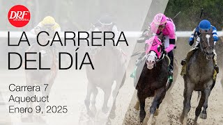 La Carrera del Día - Aqueduct / Enero 09