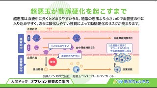 超悪玉コレステロール検査～人間ドックオプション～