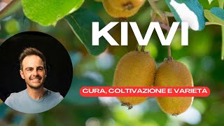 Kiwi guida completa alla coltivazione, cura e scelta delle varietà