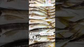 新潟県産 真あじ #万代島鮮魚センター #万代島鮮魚センターからおはよう #shorts