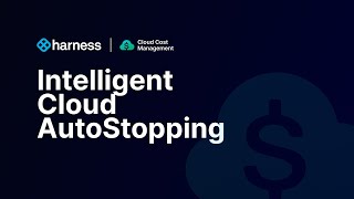 Harness Cloud Cost Management - Intelligent Cloud AutoStopping