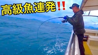 【爆釣】落とし込み・ジギングで釣れまくる海域！