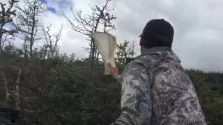 2016 Newfoundland Archery Bow Moose Hunt