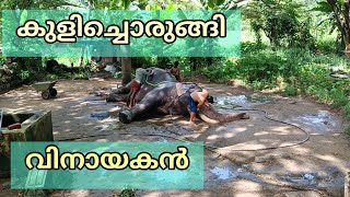 കുളിച്ചു ഒരുങ്ങുന്ന വിനായകൻ /guruvayoor vinayakan /guruvayoor aanakotta /guruvayoor temple