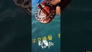 在望海巷漁港拉到大魚有爽到，但最後.... #shorts #fishing #前打