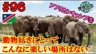 #96【サバンナデビュー戦】動物が好きな人には心からオススメしたいと思える場所だった（アフリカ南部レンタカーの旅vol.5 /  ナミビア⑤）世界一周 2011-2014