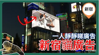 [一人放空系列. 東京篇#15] 新宿 立體貓廣告(原聲) Shinjuku 3D Cat Ad| 默想 傷心 難過 無聊 煩惱 去邊好? |#新宿 #立體貓廣告 #貓廣告