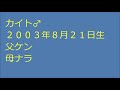 レボ＆カイト、元気です！　revo and kite are fine　〜 lion 〜