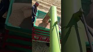 wheat🌾 harvesting kartar harvester #kheti #harvester #farmer #mahindra #shorts