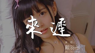 來遲 - 戴羽彤『我這一次終究還是來得太遲』【動態歌詞Lyrics】