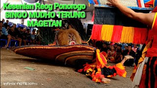 Kesenian Reog Ponorogo Singo Mudho Terung Magetan