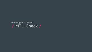 Working with NetQ: MTU check