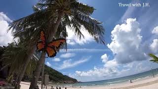 Tommy Resort, Free Breakfast,  Haad Rin Beach, Famous for Full Moon Party! Ko Pangan, Thailand.