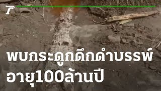 ฮืฮา! ชาวบ้านพบกระดูกดึกดำบรรพ์อายุ 100 ล้านปี | 23-03-65 | ตะลอนข่าว