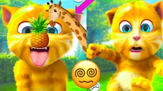 my talking ginger funny videos | 🐒🐈🙀😻