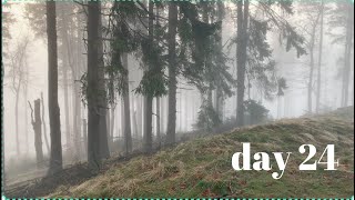 vlogmas for yarnchix | Frankfurt | day 24 forest walk