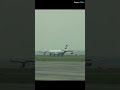 Wow! A Rare Airbus A340 Landing at Hong Kong Airport, Cathay Pacific Airline