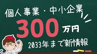 個人事業・中小企業向け300万円補助金・基金は2033年3月まで補助金・今後募集開始・中小企業省力化投資補助金・事業再構築補助金の新情報も【中小企業診断士YouTuber マキノヤ先生】1774回