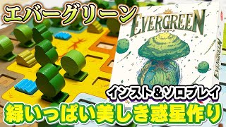 【エバーグリーン】植樹して成長させて緑いっぱいの惑星作り！日光の向きも考えなきゃね【ボードゲーム】