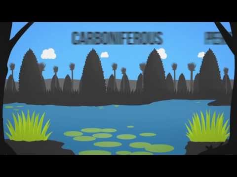 What fossil fuels are used for?