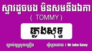 ស្ទាវដូចបងសមនិងឯកា_ភ្លេងសុទ្ធ | Tommy | Karaoke.