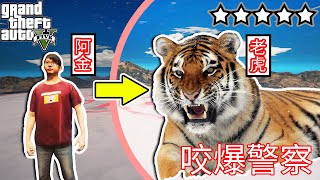 【Kim阿金】五星通緝 虎年行大運 化成老虎咬爆警察們!?《GTA 5 Mods》