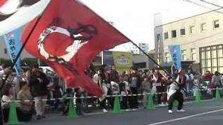 おやちゃい村2009　朝霞鳴子一族め組　朝霞風靡　粋　フラフの奇跡！